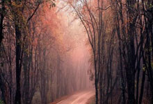 亚冠盛宴连续升温，球迷热情高涨