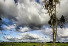 黄队在比赛中表现出色：一场技战术与团队精神的完美演绎