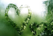 森林狼球员表现突出，帮助球队取得胜利