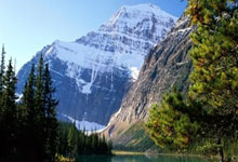 博洛尼亚战胜莱切，斩获重要胜利