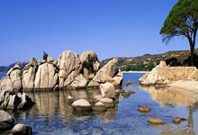 球星诞辰登场，庆祝活动精彩盛大展开